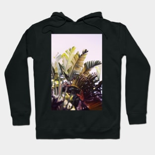 Paradise #1 Hoodie